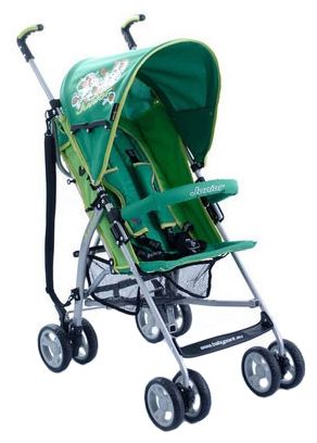Baby Point Junior