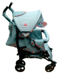  Baciuzzi B4.6