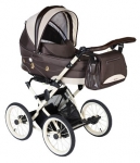  DorJan Classic Butterfly