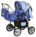  Teddy Apollo B
