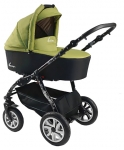  Tutic Bexa Fashion Roxy
